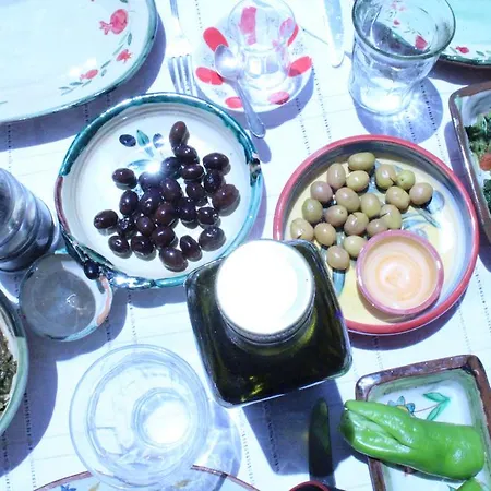 Stone House With Garden In Cunda/ayvalik 펜션