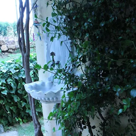 Stone House With Garden In Cunda/ayvalik 펜션 Ayvalı